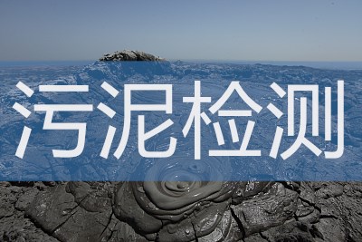 中孚查询